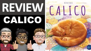 First Impressions - Calico