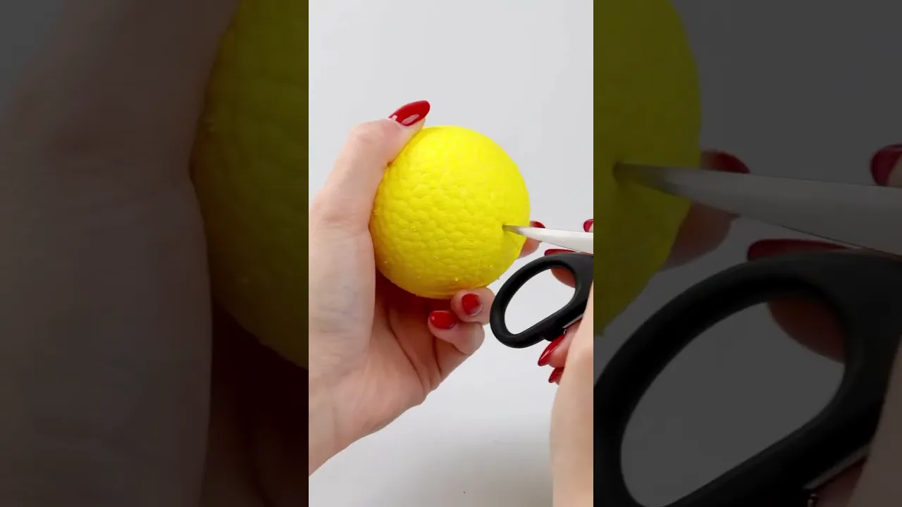 Игрушечный мяч для собак Ferplast Chewa Boing Ball L Black