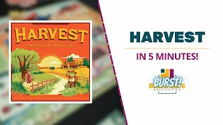 Board Game Breakdown BURST: Harvest in 5 Minutes!