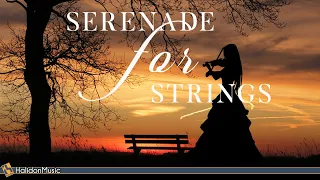 Serenade for Strings - Tchaikovsky, Dvorak, Mozart