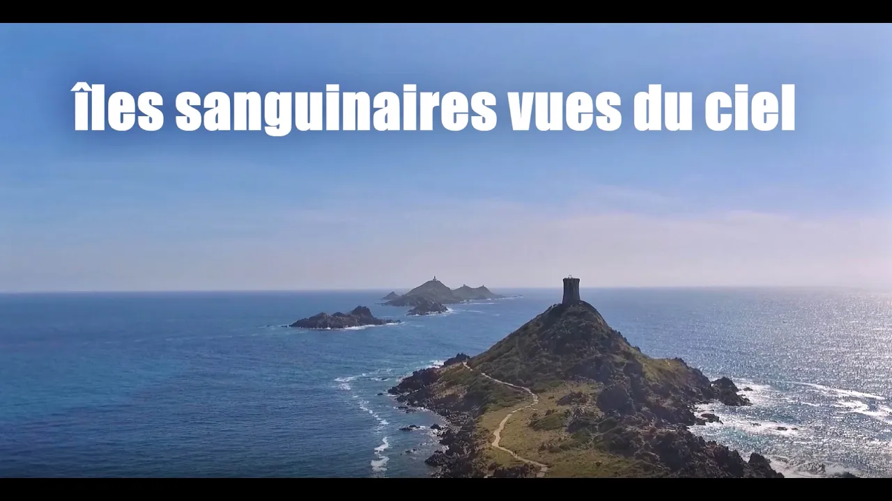 Vignette de la vidéo