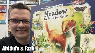 Meadow - Im Reich der Natur (rebel / asmodee) - leicht gehobenes Familienspiel ab 10 Jahre