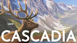 Cascadia Board Game - Tutorial and Solo Playthrough