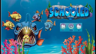 Schooled Official Board Game Rules