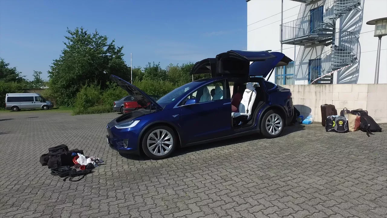 Space in Model X for 5 adults and a dog