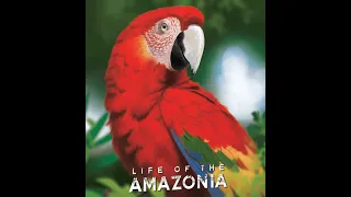 Life of the Amazonia