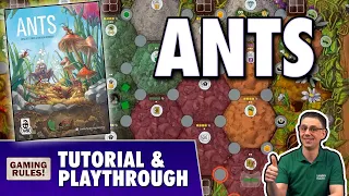ANTS Tutorial & Playthrough