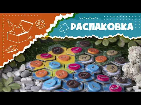 ASMR Unboxing