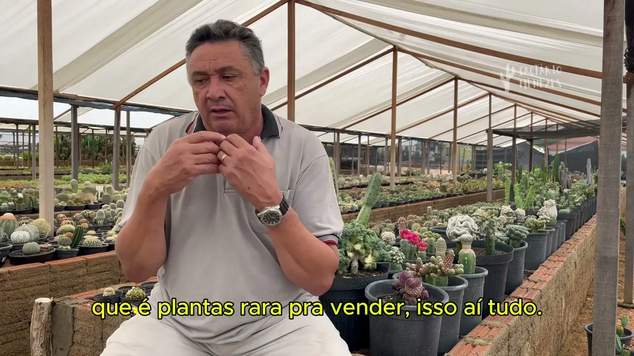 Vídeo de Cactário Menezes