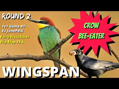 Who Needs Ravens When You Have This? Wingspan Tournament
