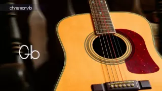 Afinador de Guitarra Medio Tono Abajo (HD) - Christianvib