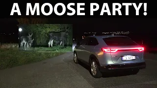 Honda e:Ny1 headlights test