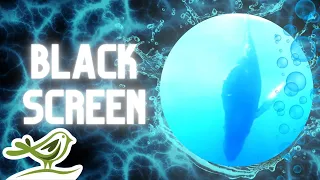 Deep Underwater | Black Screen & Sleep Music with Ocean Sounds by Peder B. Helland
