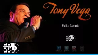 Fui La Carnada, Tony Vega - Audio
