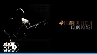 Lo Que Estoy Sintiendo (Tiempo Perfecto), Felipe Peláez & Manuel Julián - Audio