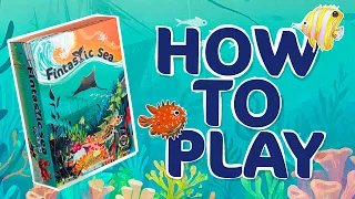 Fintastic Sea - HOW TO PLAY