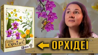 Огляд від TheDrotUA