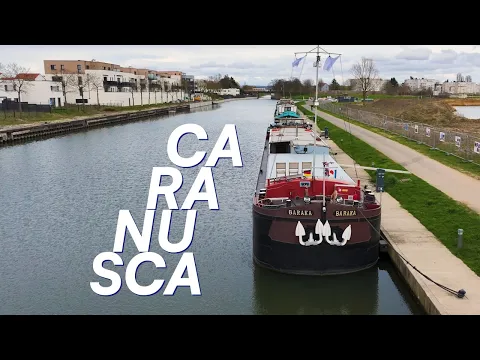 Caranusca