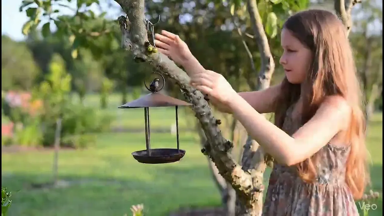 Vídeo de Depósito Santa Mariah
