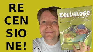 Cellulose - Analisi critica