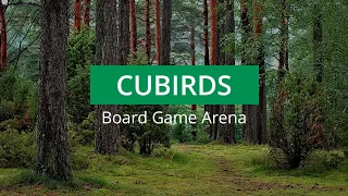 Cubirds - Board Game Arena