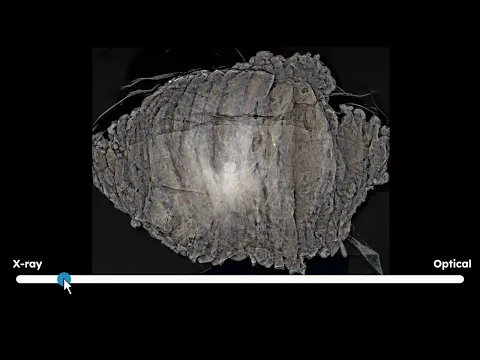 youtube-video-thumbnail