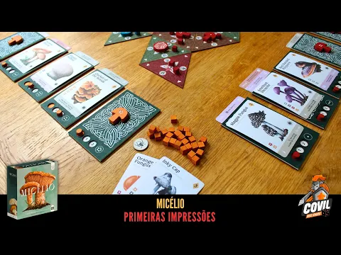 Primeiras Impressões Micélio - Mosaicon 2024