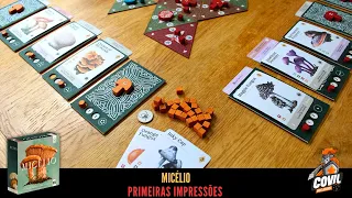 Primeiras Impressões Micélio - Mosaicon 2024