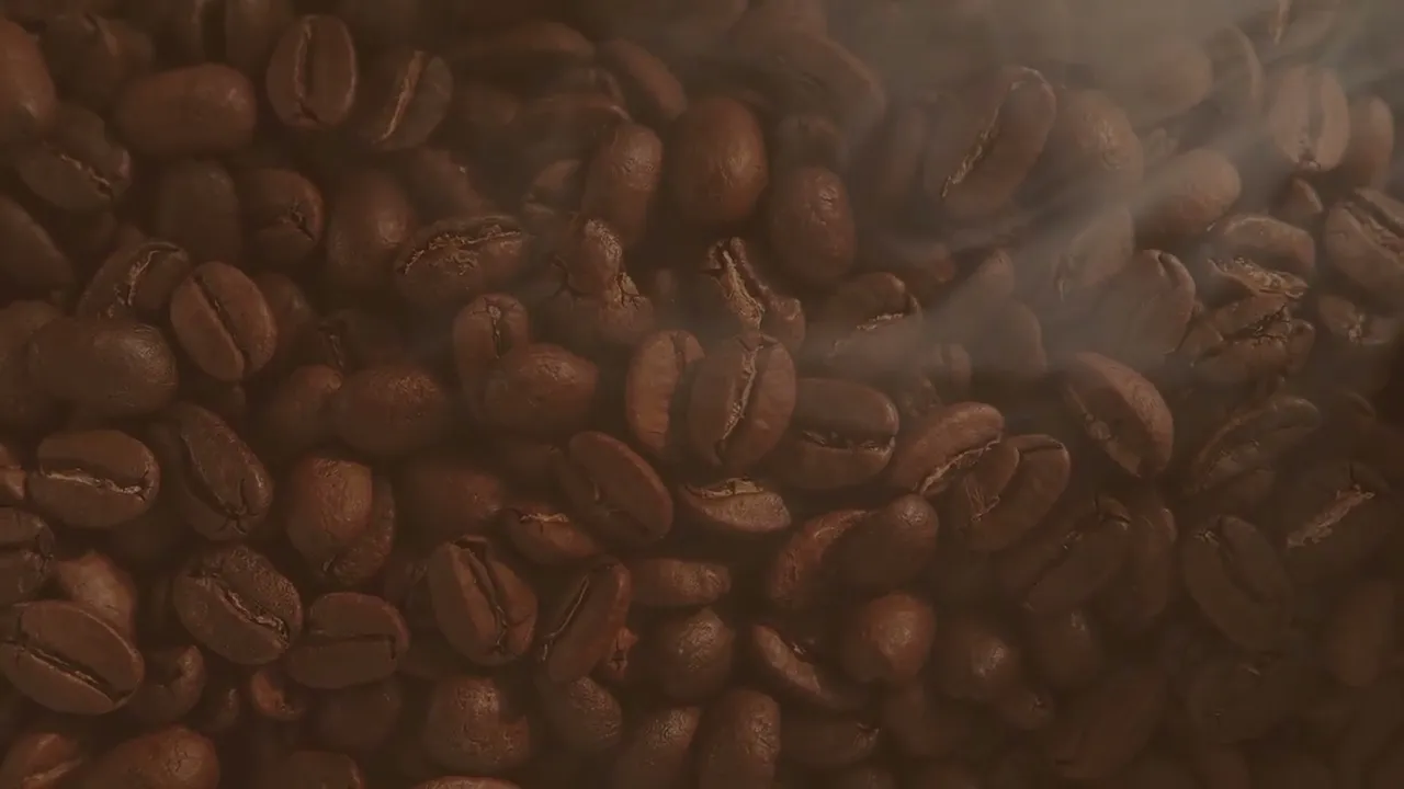 Video de MOKITA