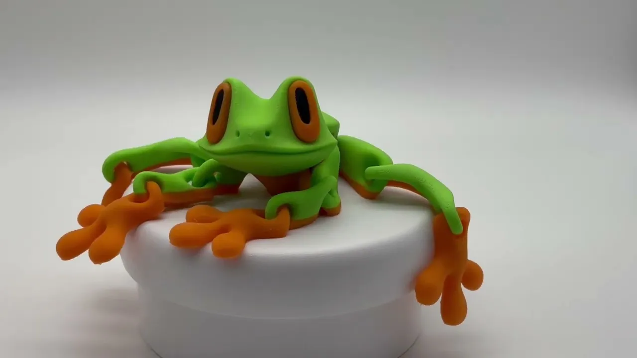Tropical Frog Magnet Toy [FDM Printing]
