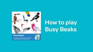 How to play Busy Beaks