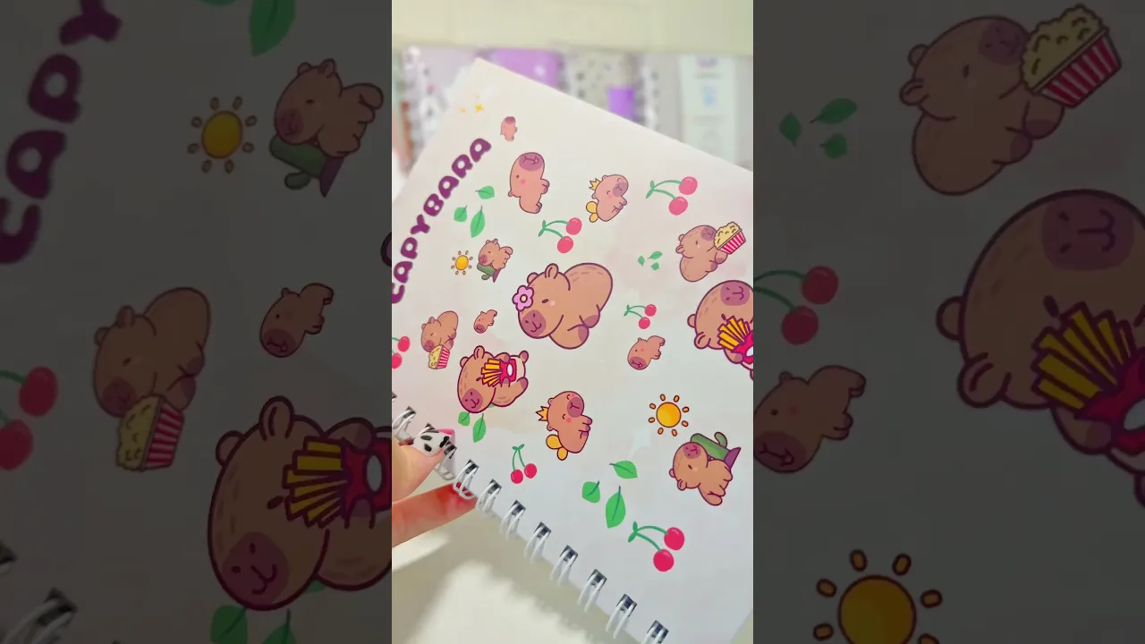 Video de VickyPapelaria