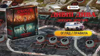 Правила від Rozum
