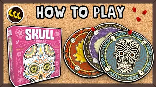 How to Play Skull: The Bluffing Game