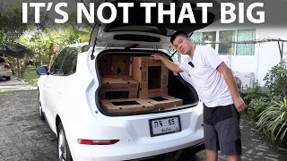 Ora Funky Cat banana box test