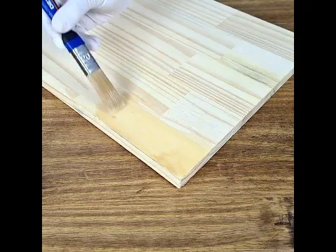 Pincel Universal Dexter 20mm