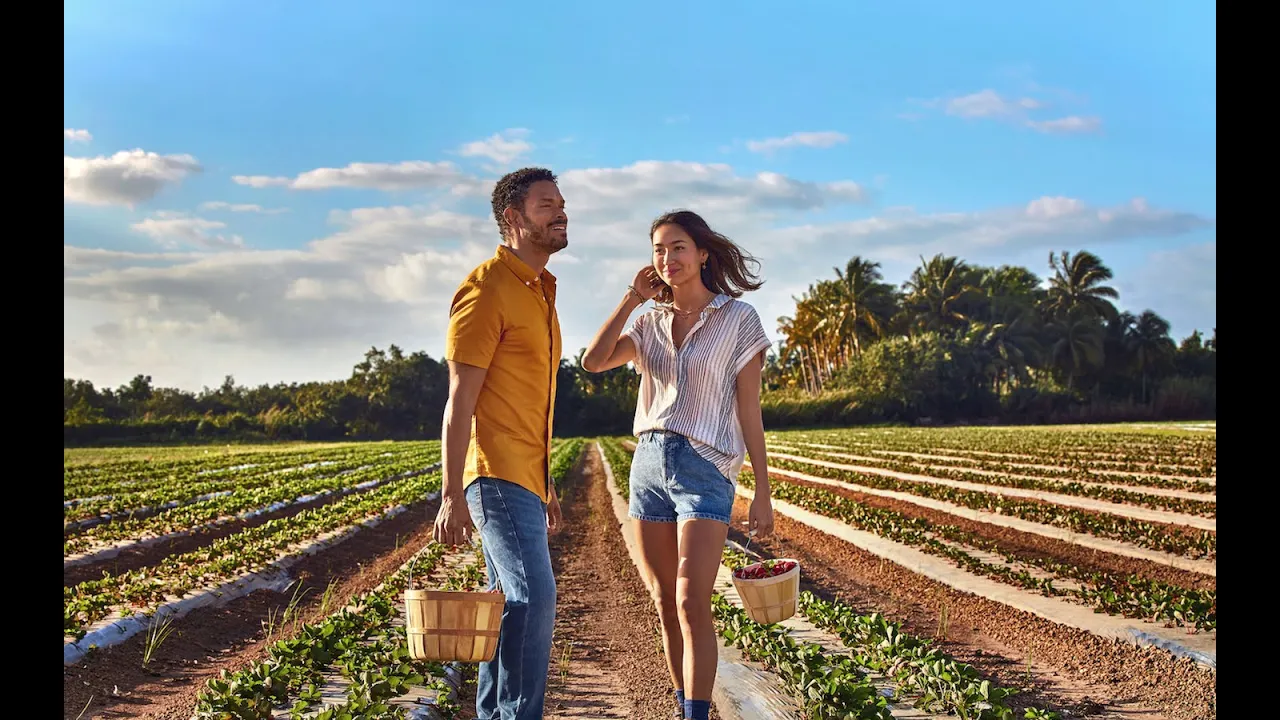 The Redland: Miami's Countryside