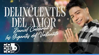 Delincuentes Del Amor, Daniel Calderón Y Los Gigantes Del Vallenato - Video Oficial