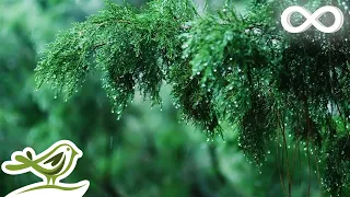 Calming Piano Music with Rain & Thunder Sounds for Sleep or Relaxing • 