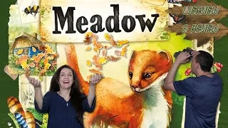 Meadow Overview & Review