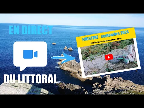 Vignette de la vidéo