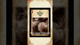 No doubt, the most influential board game in China is War of the Three Kingdoms(SanGuoSha)