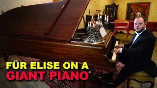 Für Elise on a Giant Piano