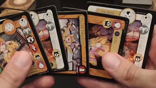 Video Review