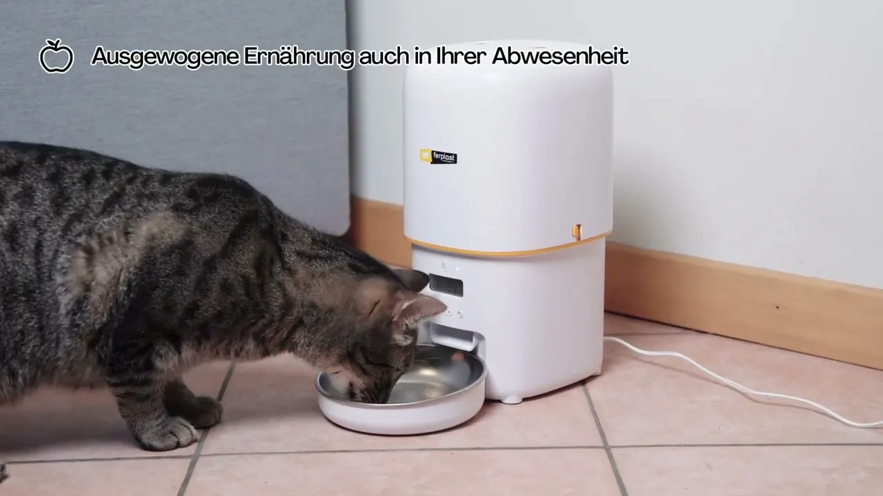 Автоматическая кормушка Ferplast Risto Pet для кошек и собак с таймером и дозатором
