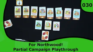 For Northwood! Partial Campaign Playthrough | 30 | Small Box, Big Game