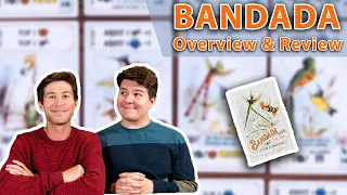 Bandada | Photograph Birds and Manipulate Dice! | Board Game Overview & Review (Episode #68)