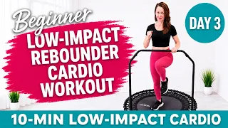Day 24 preview: Low-Impact Cardio Burn beginner rebounding workout