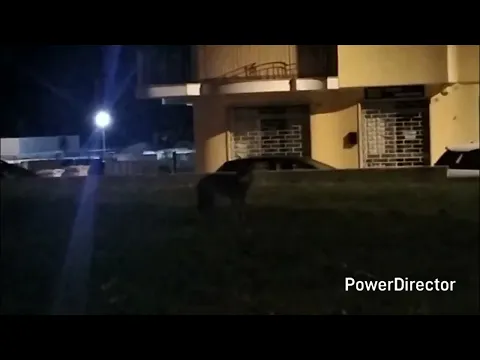 Youtube Preview