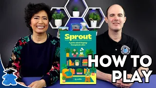 Sprout. How to Play. Complete, Complete, Concise Board Game Tutorial